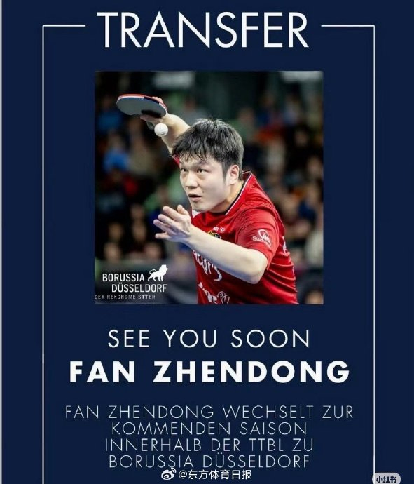 樊振东2026年7月1日转会杜塞尔多夫，开启欧洲新